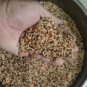 BIJIMIX MILLET MILET CAMPUR KOMPLIT LENGKAP 1Kg KEMASAN EKONOMIS UNTUK LOVEBIRD PARKIT KENARI PERKUTUT PUTER TEKUKUR DLL