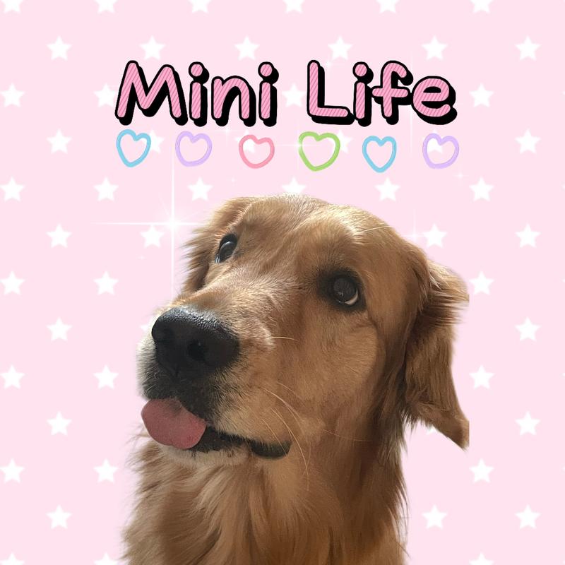 Product Introduction of 【Live Link】Squishy for unique and lovely you 0