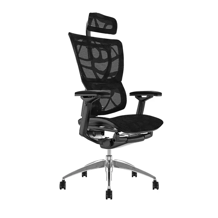Ergohuman IOO Multi Direction Headrest Full Mesh Ergonomic Chair ...