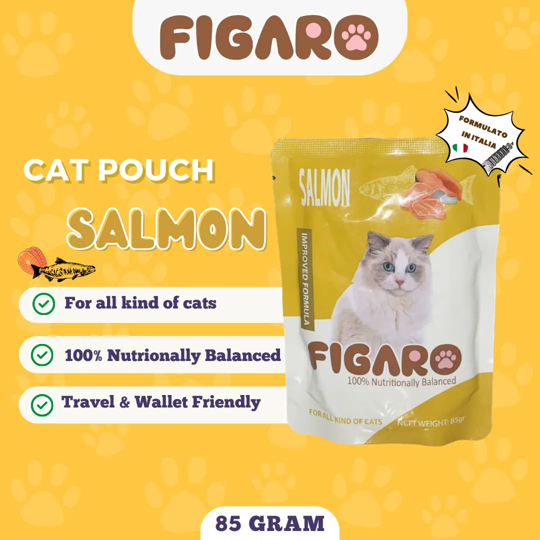 FIGARO CAT POUCH - SALMON 85 Gram Makanan Basah Kucing Adult Kitten Wet Food Sachet Saset Sobek All Stage Snack Creamy Strip Treats Treat PREMIUM INGREDIENTS INGREDIENT BAHAN FORMULATO IN ITALIA FORMULATED IN ITALY