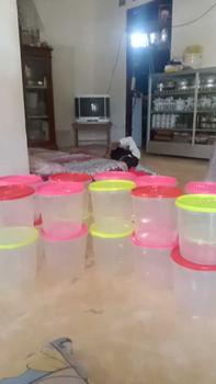 Product Review of (5 PCS) TOPLES PLASTIK MURAH / TOPLES JUALAN SEBLAK /  TOPLES 3 LITER / 3L / TOPLES KERUPUK / TOPLES UNTUk JUALAN / TOPLES BENING AESTETIK from a**a 0