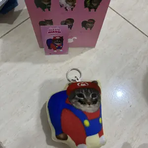 Special Limiter Version MiauwMiauw Cat BlindBox | Kotak Misteri Kucing Viral