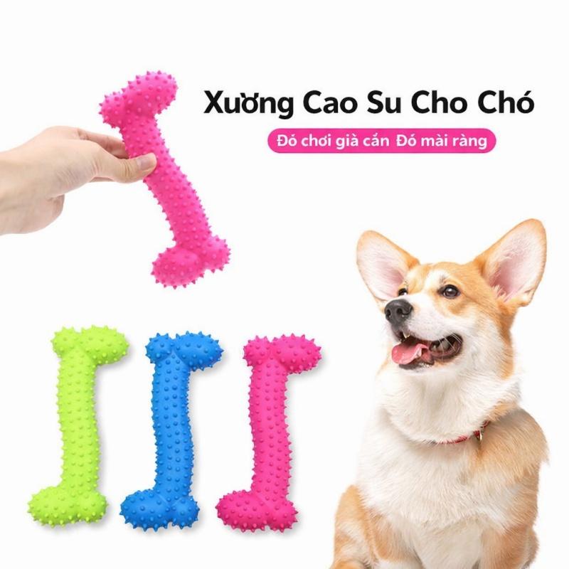 Đồ chơi xương nhai cho chó con, dụng cụ vệ sinh răng cho chó, đồ chơi thú cưng bằng silicone an toàn, chịu nhai.