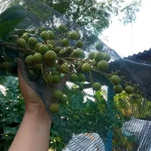 BRONGSONG BUAH.JARING/WARING PEMBUNGKUS BUAH KLENGKENG JAMBU JERUK DLL ISI 20 Ukuran 35x58cm Kualitas Baik Tahan Lama Cocok Sebagai Kantong Pembungkus dan Filter Kolam Ikan Koi