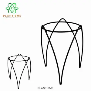 Rak Tanaman – Majestra Crown Stand Dudukan Besi Motif Mahkota Gaya Persia, Tahan Karat & Stabil untuk Tanaman Indoor/Outdoor