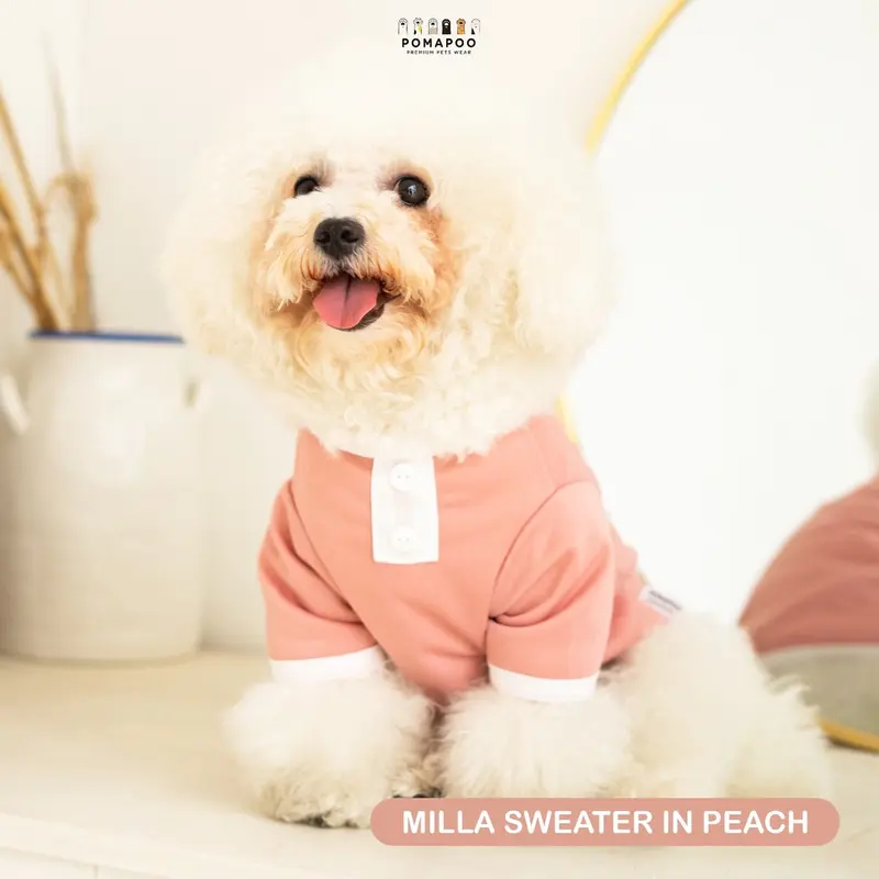 POMAPOO - Sweater Kucing dan Sweater Anjing Milla Sweater 2