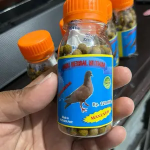 Jamu Merpati kolong Mutiara Manuver Besar