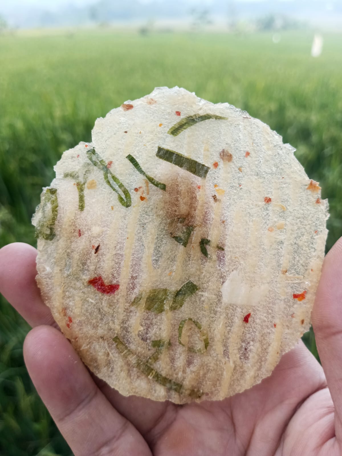 Kicimpring Singkong Mentah Bawang Cabai Gurih dan Renyah Camilan Kering Cemilan Kerupuk Snacks Makanan Keripik Pedas Food Kripik Opak Singkong Manis Asin enak