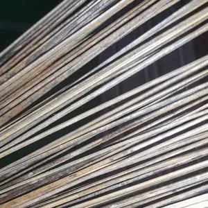 Sapu Kasur Ergonomis dengan Gagang Plastik Kuat