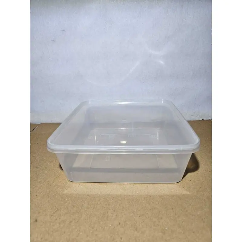 Kotak Makan Plastik / Thinwall / Food Container - Kotak 2000ml DM 2