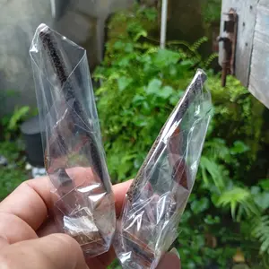 Tangkringan samping burung konin asem bali