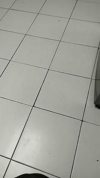 Product Review of Handuk Mandi Dewasa Ukuran 70-140cm bahan Combed Cotton,DLNF-4 from S**a M**d 0
