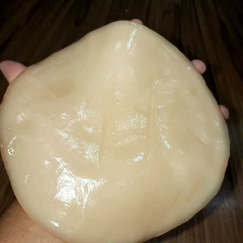 Scoby Kombucha Reseller isi 5 Scoby ukuran lebar +- 20×12×0.5cm, bisa memproduksi teh kombucha sebanyak +-20Liter dalam sekali proses, GARANSI 100% diganti baru jika proses pembuatan scoby gagal, berjamur atau tidak berkebang biak..BUKTIKAN !! 4