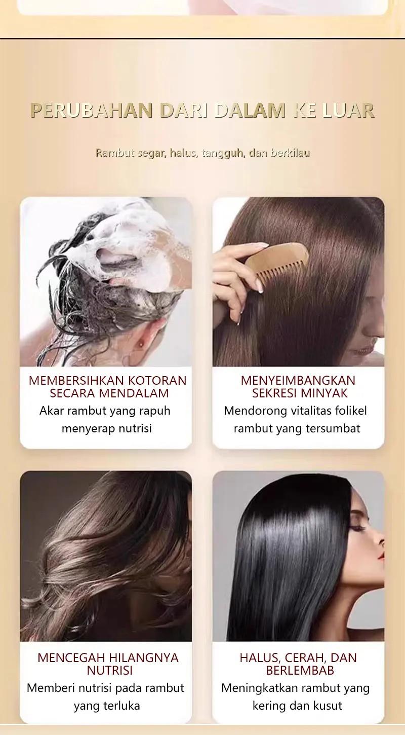Sampo Anti-Rambut Rontok Ginseng dan Polygonum Multiflorum