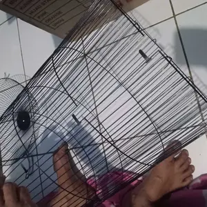 Sangkar Burung Lovebird Motif Bintang Warna Biru Tua | Sangkar Burung Love Bird Parkit Kenari Kandang Besi Import Model Kapsul