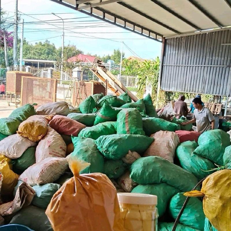 5kg Bột Nghệ Nguyên Chất Trang Phạm 6