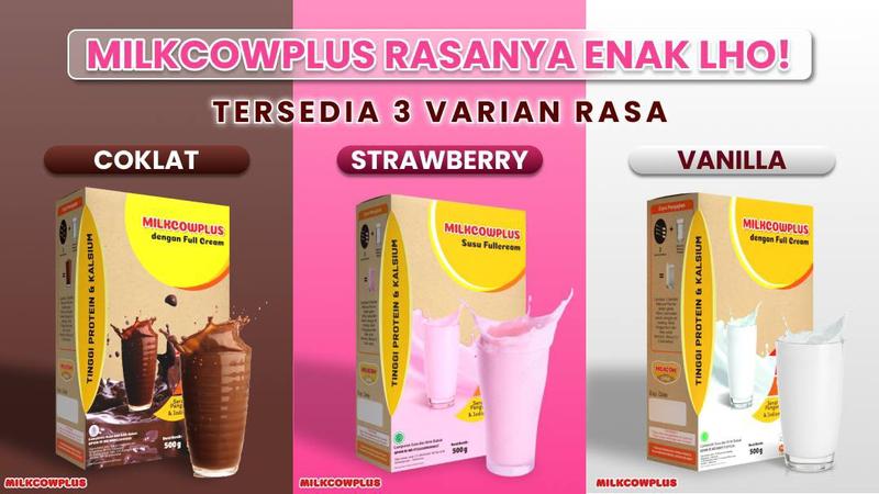 Product Introduction of (2 Pcs) Milkcowples 55% Susu Fullcream Kaya Kalsium dan Protein 2x500gr Minuman Dairy Milkcow 6