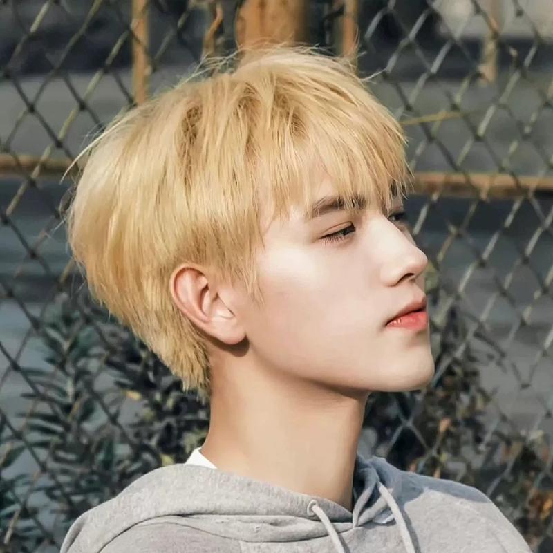  Bộ tóc giả nam ngắn thẳng màu bạch kim phong cách Hàn Quốc trọn bộ đầu thời trang thoáng khí tự nhiên và chân thực thay đổi hình dạng 