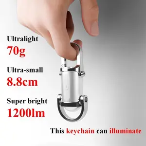 Cob Flood White High Light Keychain Flashlight