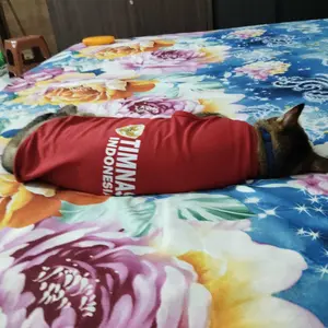 Jersey Klub Sepak Bola untuk Kucing & Anjing – Outfit Keren ala Pemain Dunia, Bikin Peliharaan Jadi Superstar Lapangan