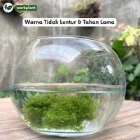 Gambar Workplant - Moss Artificial Lumut Imitasi Dried Moss untuk Paludarium Aquascape DIY Dekorasi - Hijau Tua dari workplant official Kota Surabaya 4 Tokopedia