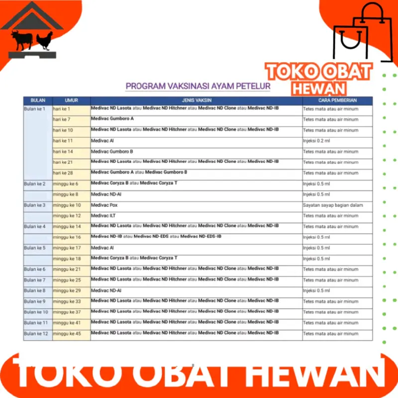 Vaksin Medivac ND Lasota Dosis 50 Ekor Vaksin Lanjutan Mencegah Tetelo dan Aratan Untuk Ayam Kecil Hingga Dewasa Pluss Anti Stress 2