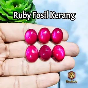 [HANYA BATU] Batu Ruby Fosil Kerang