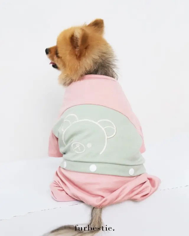 Pomapoo X Furbestie - Baju Kucing dan Baju Anjing Baby Kkuma Jumpsuit 3