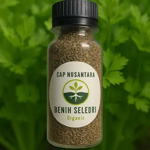 Repack- Benih sayur seledri isi 100 biji