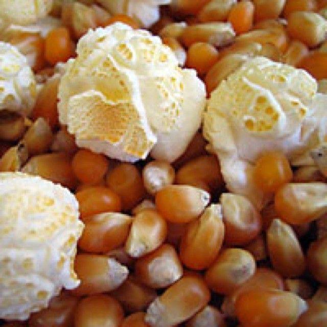 BIJI JAGUNG POPCORN MUSHROOM berat 100gr-1000gr bulat besar import US