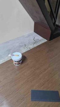 Product Review of 100% FROM KOREA 3MM LUXURY PLANK PVC 6inciX36inci 16pcs/Tikar Getah/Vinyl Murah/Corak Kayu Pelekat/24sqft Lantai Vinyl from I**🌻 0