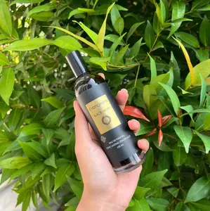 PROMO 1 pcs parfum evangeline musk edition black musk 100ml