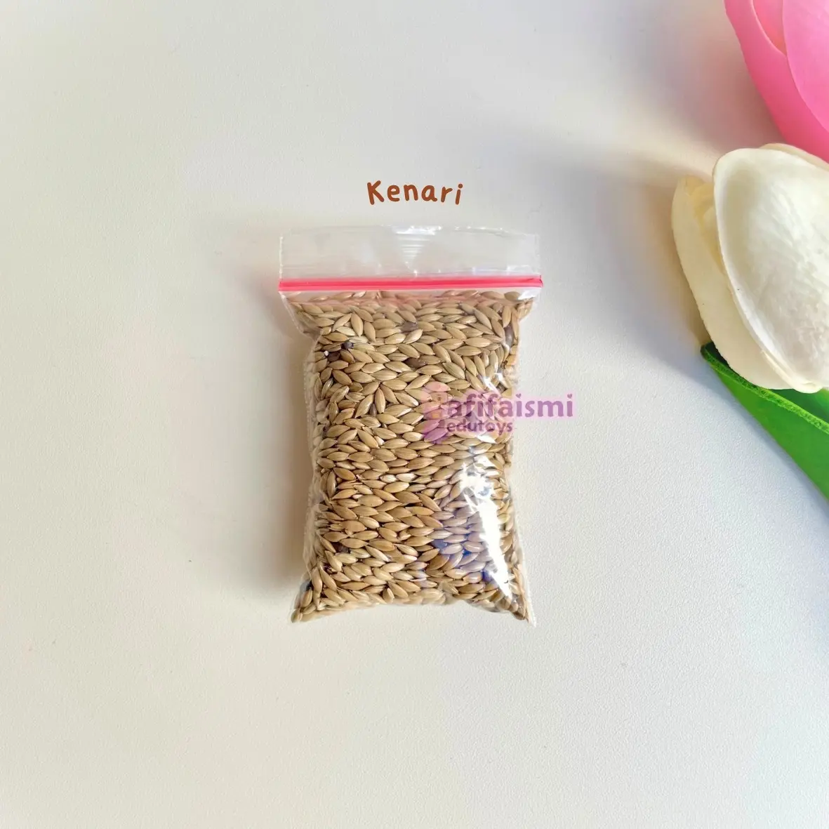 Kenari 26gr