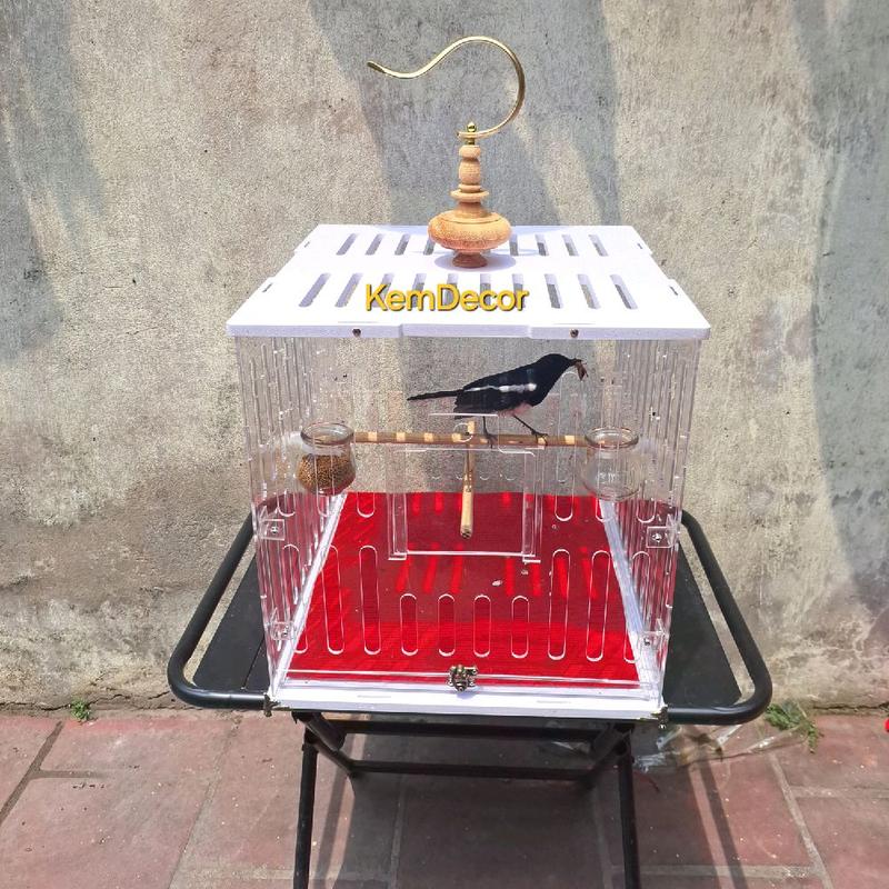 KemDecor LỒNG CHIM SIÊU BỀN Chào Mào Chòe Than Họa Mi Khướu Cu Gáy Kích Thước Vuông 37cm Chống Chuột Mèo Bảo Vệ Chim Chất Lượng Cao Tặng Đầy Đủ Phụ Kiện