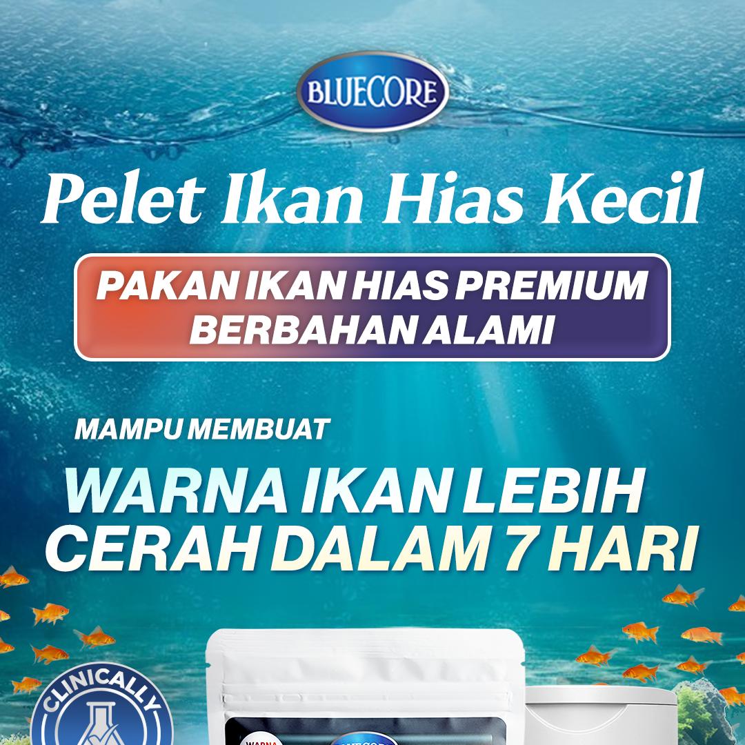 Bluecore Pelet Ikan Hias Kecil (30 GR) - Pakan Ikan Hias Kecil Untuk Ikan Guppy Ikan Cupang Ikan Glowfish dan Ikan Molly Bluecore Pelet Ikan Hias Kecil (30 GR) - Pakan Ikan Hias Kecil Untuk Ikan Guppy Ikan Cupang Ikan Glowfish dan Ikan Molly