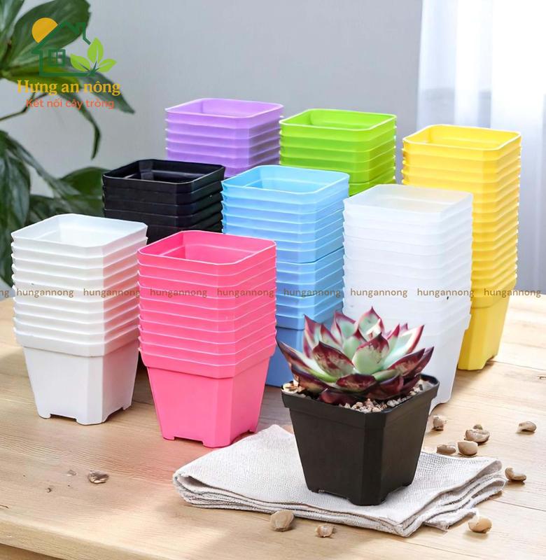 CV10DB - Sét 10 chậu nhựa dầy chất liệu PP trồng sen đá xương rồng bonsai size 10x8.5cm ( không kèm dĩa lót )