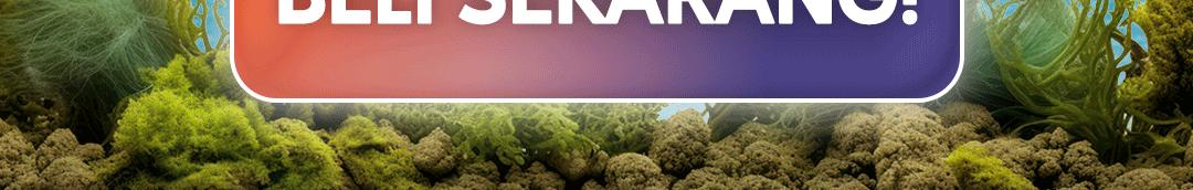 Bluecore Pelet Ikan Hias Kecil (30 GR) - Pakan Ikan Hias Kecil Untuk Ikan Guppy Ikan Cupang Ikan Glowfish dan Ikan Molly