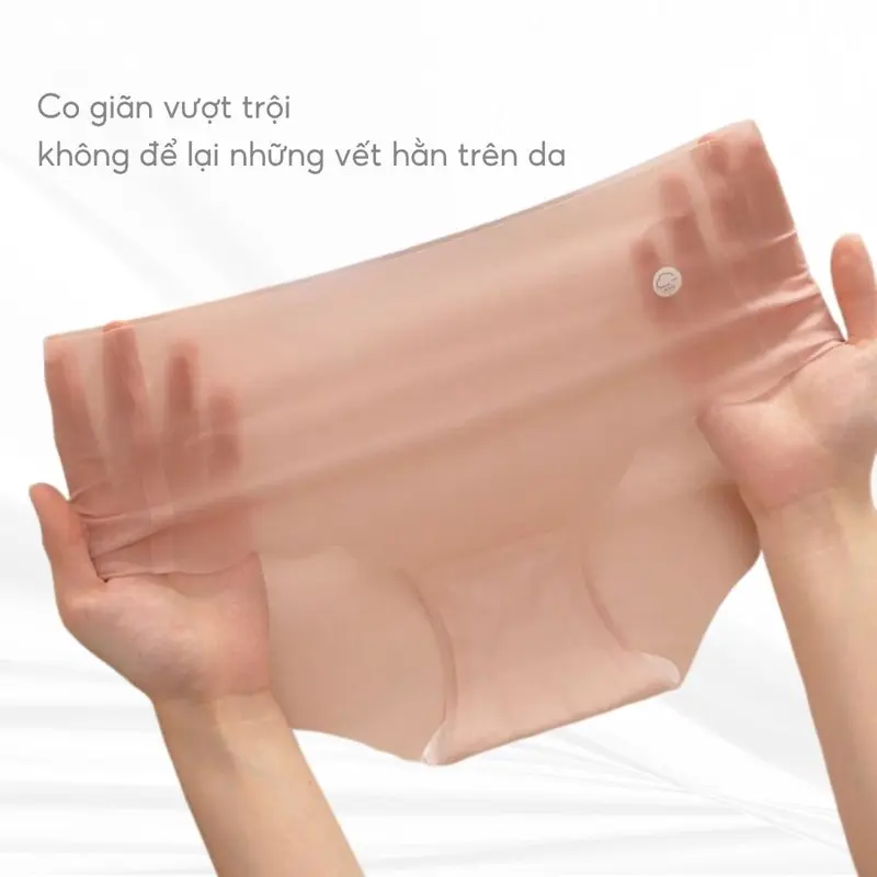 Combo 5 Quần Lót Nữ Su Thạch Bradina TÀNG HÌNH Băng Lụa, Mỏng nhẹ, Không đường may QLS6 + Tặng 1 quần chip ngẫu nhiên 3