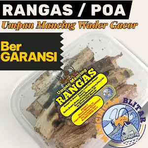 Umpan Mancing Ikan Wader Rangas Poa Sampero Nonol Rayap Gacor untuk Mancing Ikan Sungai  Pancing Harga per Cup