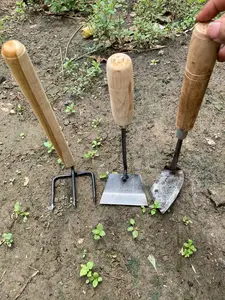 murah paket perkebun isi 3pcs alat pembersih rumput lumut gulma garuk cangkul mini wangkil bahan besi