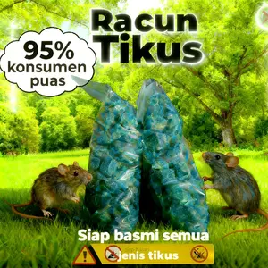 Racun tikus balok dosis tinggi