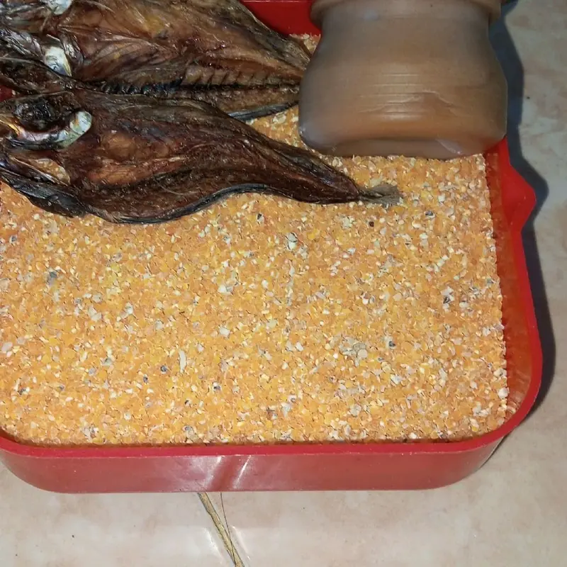beras jagung ikan asin dan petis 4