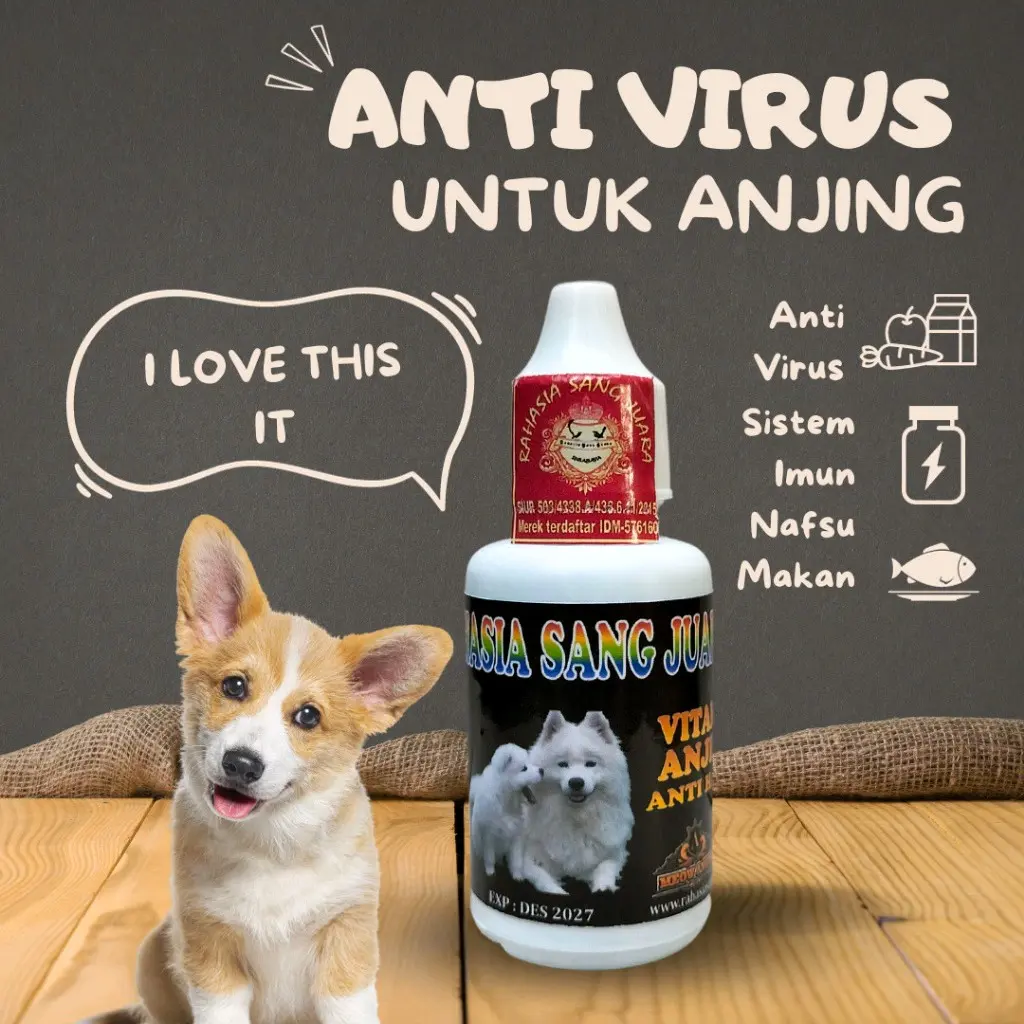 RSJ VAKSIN ANJING OBAT ANTI VIRUS