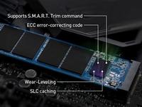 Gambar SSD Team MP33 PRO M.2 2280 NVME 512GB - PCIe Gen3x4 dari Toko Expert Komputer Kota Administrasi Jakarta Pusat 2 Tokopedia