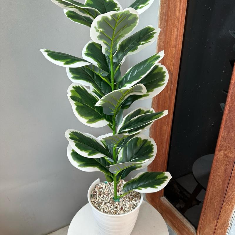 TANAMAN ARTIFICIAL KETAPANG  PUTIH 23DAUN(sudah+pot) 3