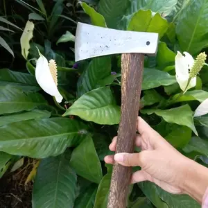 kapak baja super tajam baja asli/ kapak multifungsi