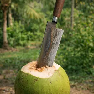 PAKET 2PCS PISAU DAPUR DAN PISAU CINCANG DAN KUPAS KELAPA  Kitchenware Baja