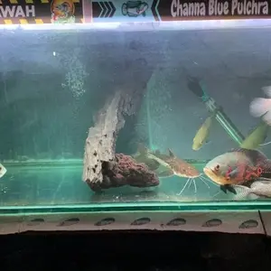 KANDILA Lampu Led Celup T4 KANDILA Pro Red View Eco UVA UVB 20 30 40 50 60 Cm