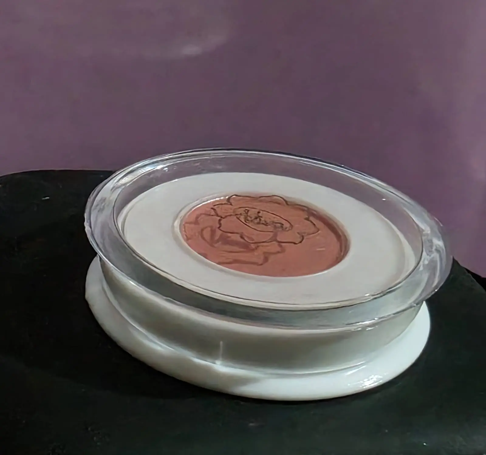VIVA-FIN TOUCH BLUSH ON NO 3,4