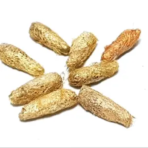 koleksi kepopompong besi kuningan wesikuning